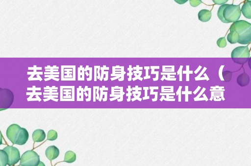 去美国的防身技巧是什么（去美国的防身技巧是什么意思）