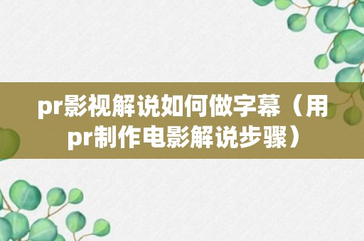 pr影视解说如何做字幕（用pr制作电影解说步骤）