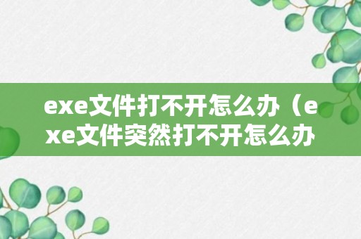 exe文件打不开怎么办（exe文件突然打不开怎么办）