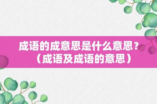 成语的成意思是什么意思？（成语及成语的意思）