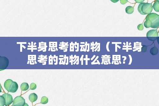 下半身思考的动物（下半身思考的动物什么意思?）