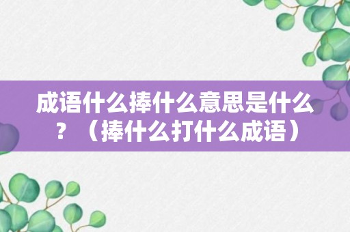 成语什么捧什么意思是什么？（捧什么打什么成语）