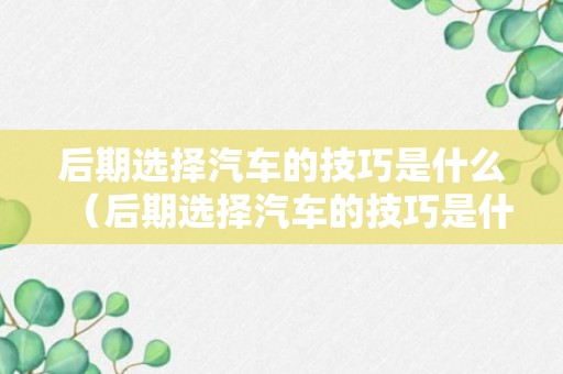 后期选择汽车的技巧是什么（后期选择汽车的技巧是什么意思）