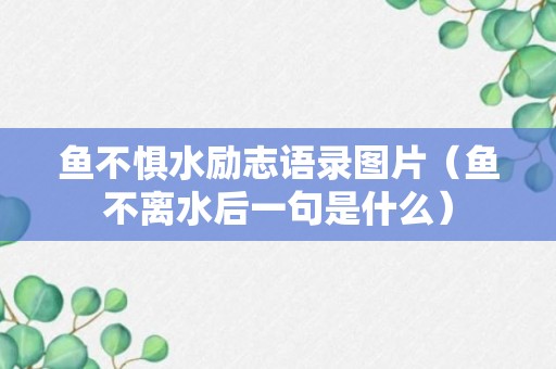 鱼不惧水励志语录图片（鱼不离水后一句是什么）