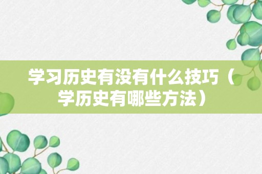 学习历史有没有什么技巧（学历史有哪些方法）