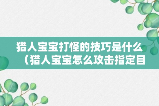 猎人宝宝打怪的技巧是什么（猎人宝宝怎么攻击指定目标）