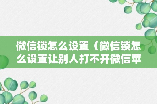 微信锁怎么设置（微信锁怎么设置让别人打不开微信苹果）