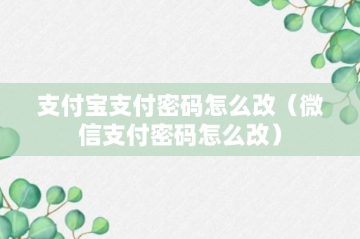 支付宝支付密码怎么改（微信支付密码怎么改）