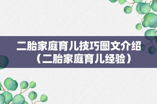 二胎家庭育儿技巧图文介绍（二胎家庭育儿经验）