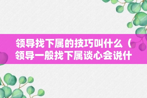 领导找下属的技巧叫什么（领导一般找下属谈心会说什么）