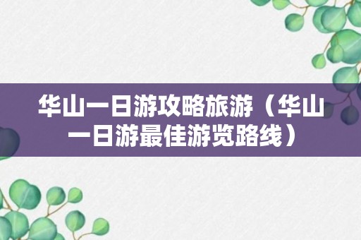 华山一日游攻略旅游（华山一日游最佳游览路线）