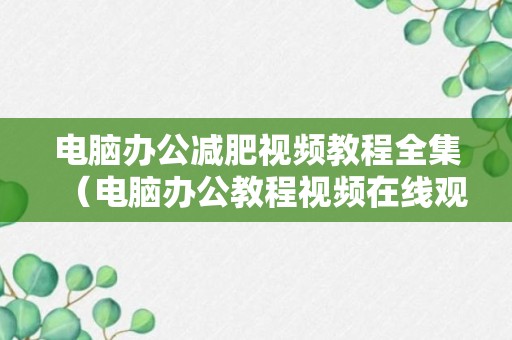 电脑办公减肥视频教程全集（电脑办公教程视频在线观看）