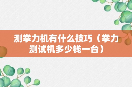 测拳力机有什么技巧（拳力测试机多少钱一台）