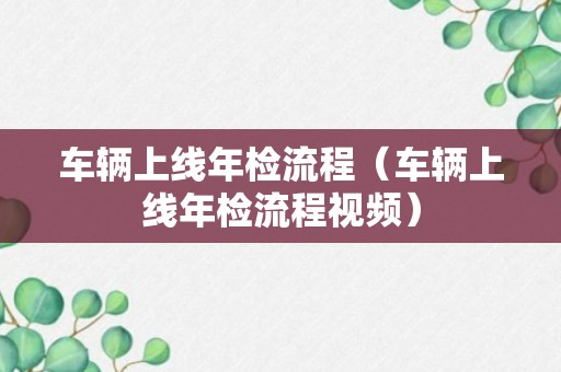 车辆上线年检流程（车辆上线年检流程视频）