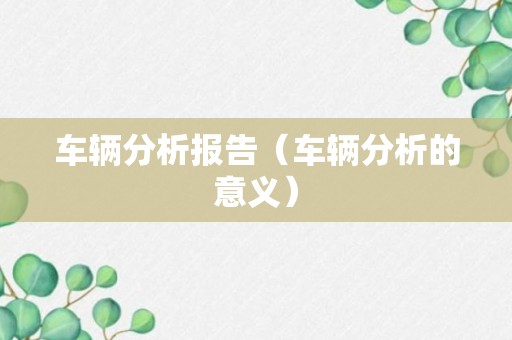 车辆分析报告（车辆分析的意义）