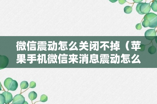 微信震动怎么关闭不掉（苹果手机微信来消息震动怎么关）