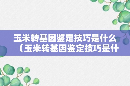 玉米转基因鉴定技巧是什么（玉米转基因鉴定技巧是什么呢）