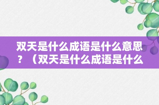 双天是什么成语是什么意思？（双天是什么成语是什么意思呀）