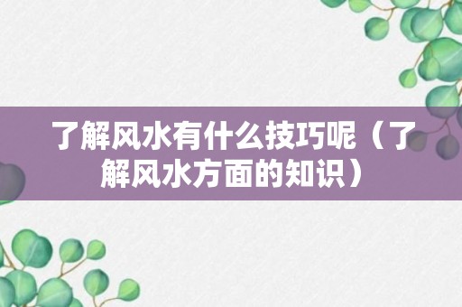 了解风水有什么技巧呢（了解风水方面的知识）