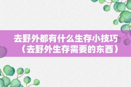 去野外都有什么生存小技巧（去野外生存需要的东西）