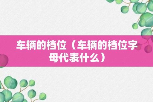 车辆的档位（车辆的档位字母代表什么）