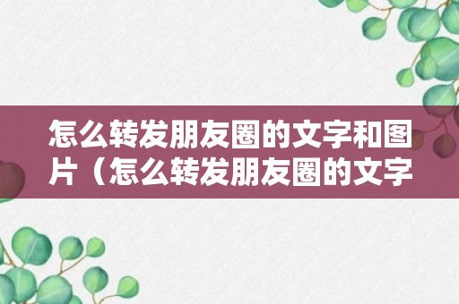 怎么转发朋友圈的文字和图片（怎么转发朋友圈的文字和图片一起转发到自己朋友圈）