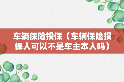 车辆保险投保（车辆保险投保人可以不是车主本人吗）