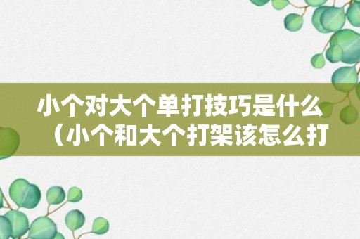 小个对大个单打技巧是什么（小个和大个打架该怎么打）