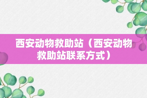 西安动物救助站（西安动物救助站联系方式）