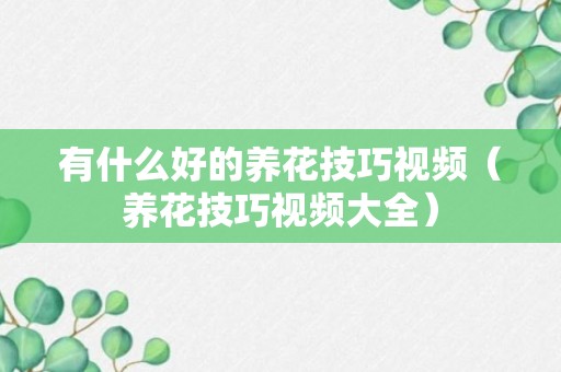 有什么好的养花技巧视频（养花技巧视频大全）