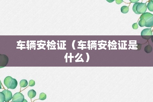 车辆安检证（车辆安检证是什么）