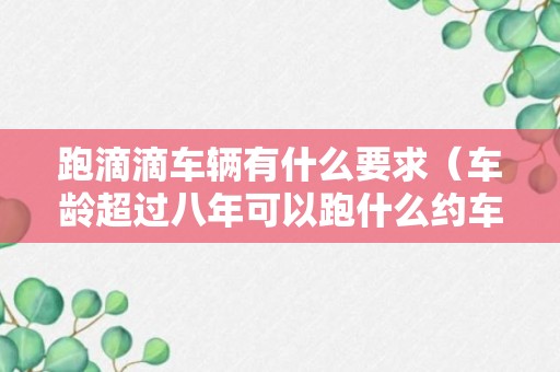 跑滴滴车辆有什么要求（车龄超过八年可以跑什么约车软件）