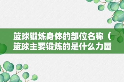 篮球锻炼身体的部位名称（篮球主要锻炼的是什么力量）