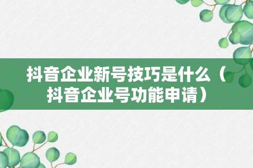 抖音企业新号技巧是什么（抖音企业号功能申请）