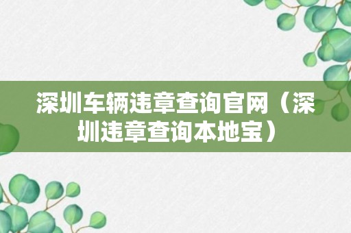 深圳车辆违章查询官网（深圳违章查询本地宝）