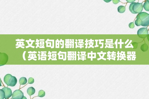 英文短句的翻译技巧是什么（英语短句翻译中文转换器）