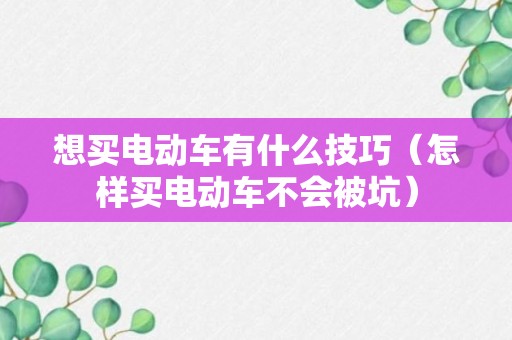 想买电动车有什么技巧（怎样买电动车不会被坑）