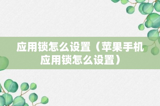 应用锁怎么设置（苹果手机应用锁怎么设置）