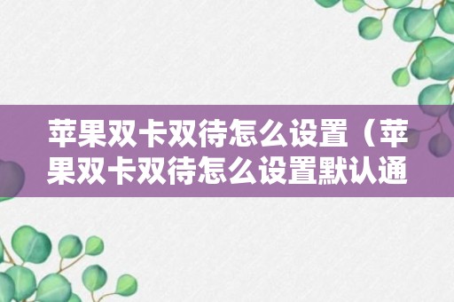 苹果双卡双待怎么设置（苹果双卡双待怎么设置默认通话号码）