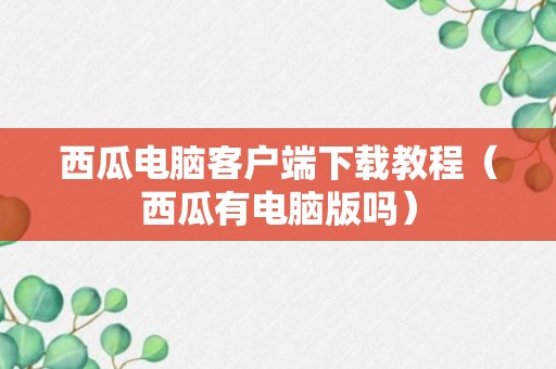 西瓜电脑客户端下载教程（西瓜有电脑版吗）