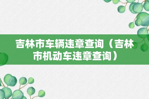 吉林市车辆违章查询（吉林市机动车违章查询）