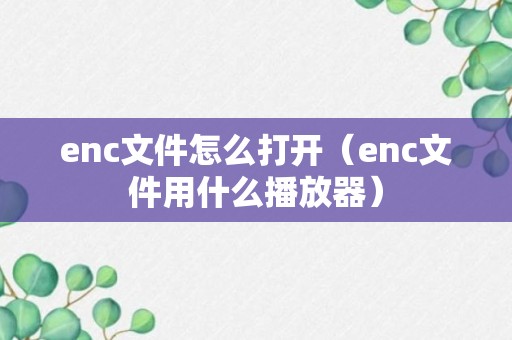 enc文件怎么打开（enc文件用什么播放器）