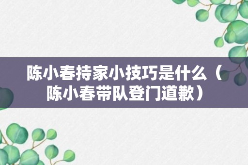 陈小春持家小技巧是什么（陈小春带队登门道歉）