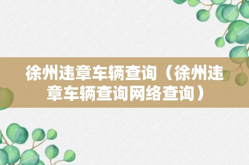 徐州违章车辆查询（徐州违章车辆查询网络查询）