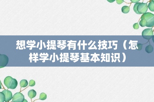 想学小提琴有什么技巧（怎样学小提琴基本知识）