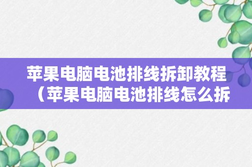 苹果电脑电池排线拆卸教程（苹果电脑电池排线怎么拆）