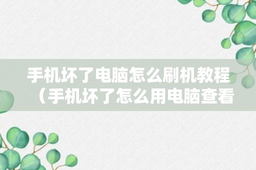 手机坏了电脑怎么刷机教程（手机坏了怎么用电脑查看数据）