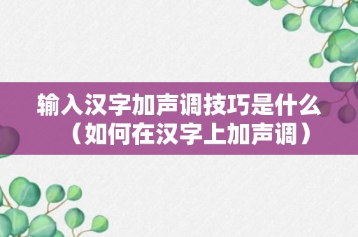 输入汉字加声调技巧是什么（如何在汉字上加声调）