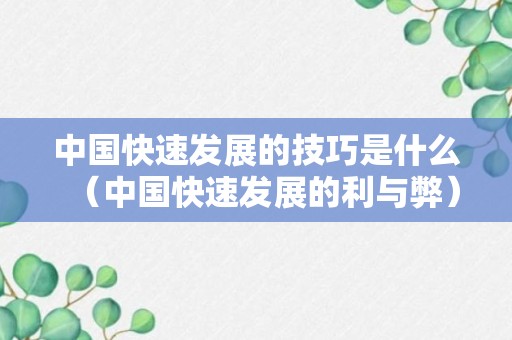 中国快速发展的技巧是什么（中国快速发展的利与弊）