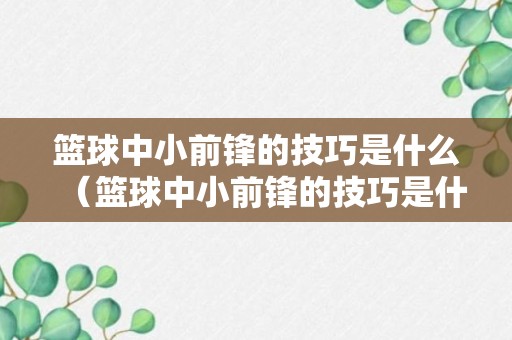 篮球中小前锋的技巧是什么（篮球中小前锋的技巧是什么呢）